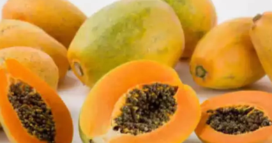 Papaya Fruit