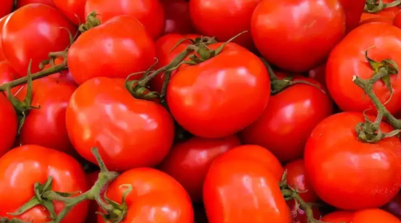 Tomato